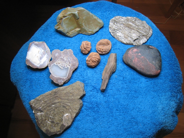 Petrified wood, Rose Rock, Mica, and some other stones I haven't identified yet (clues welcome)
