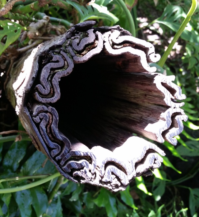 a hollowed out log